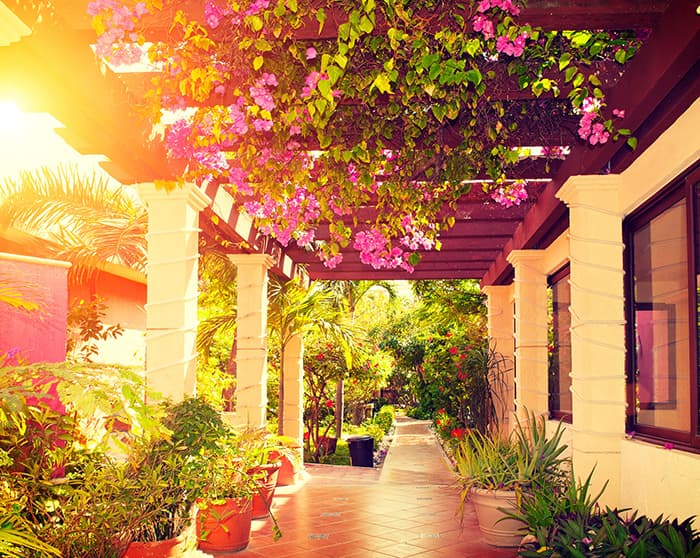 replacement windows reviews san diego