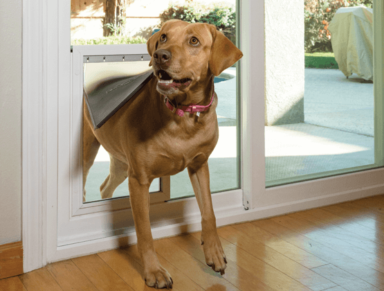 anlin freedom petdoor patio door san diego